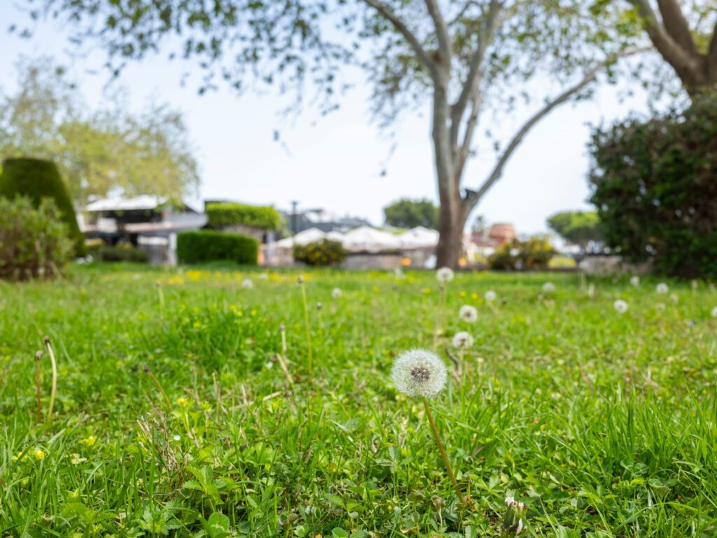 Spring Is Coming – Get Your Garden Ready